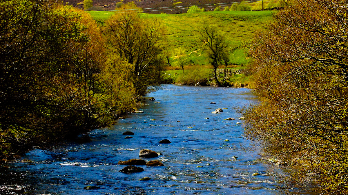 River Dee flowing through the fields of Wrexham in North Wales.