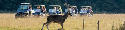 Watatunga Wildlife Reserve