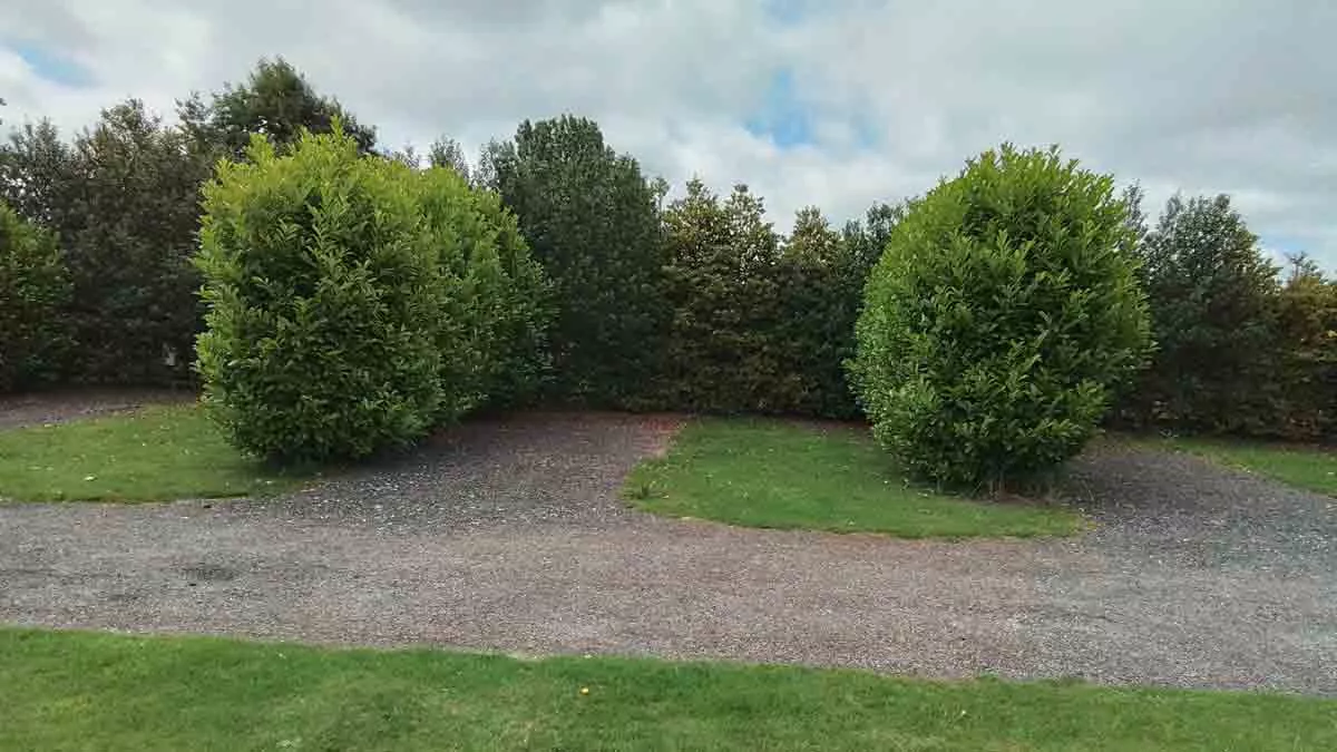Paradise Camp Site, ME9 7SU, Sittingbourne, Kent, 2026