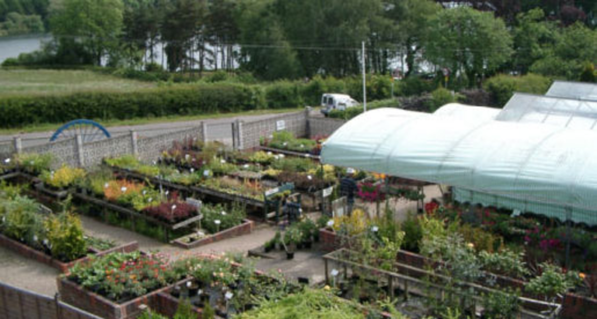 Thornton Nurseries, LE67 1AN