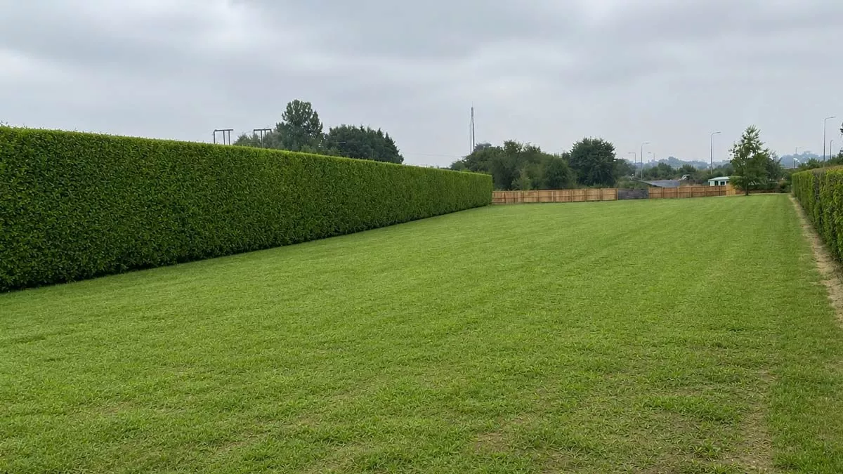 Norton Paddock, ST15 0NS, Stone, Staffordshire, 2026
