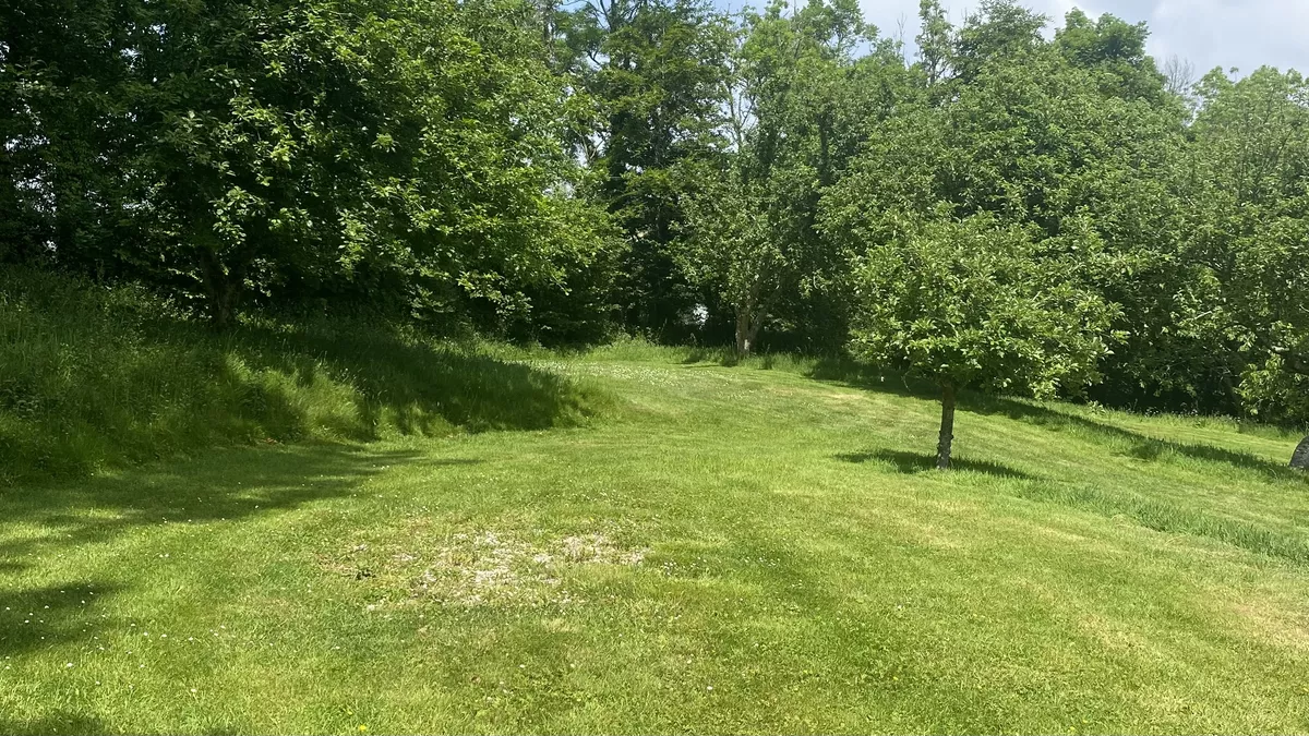Penpol Farmhouse, TR3 6NW, Truro, Cornwall, CL owner, 2026, field, trees, grass