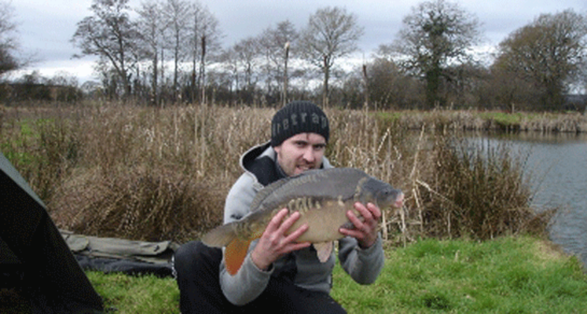 Spring Heath Fishery, Log Cabins and Caravan Park, SY10 8DA, Oswestry, Shropshire