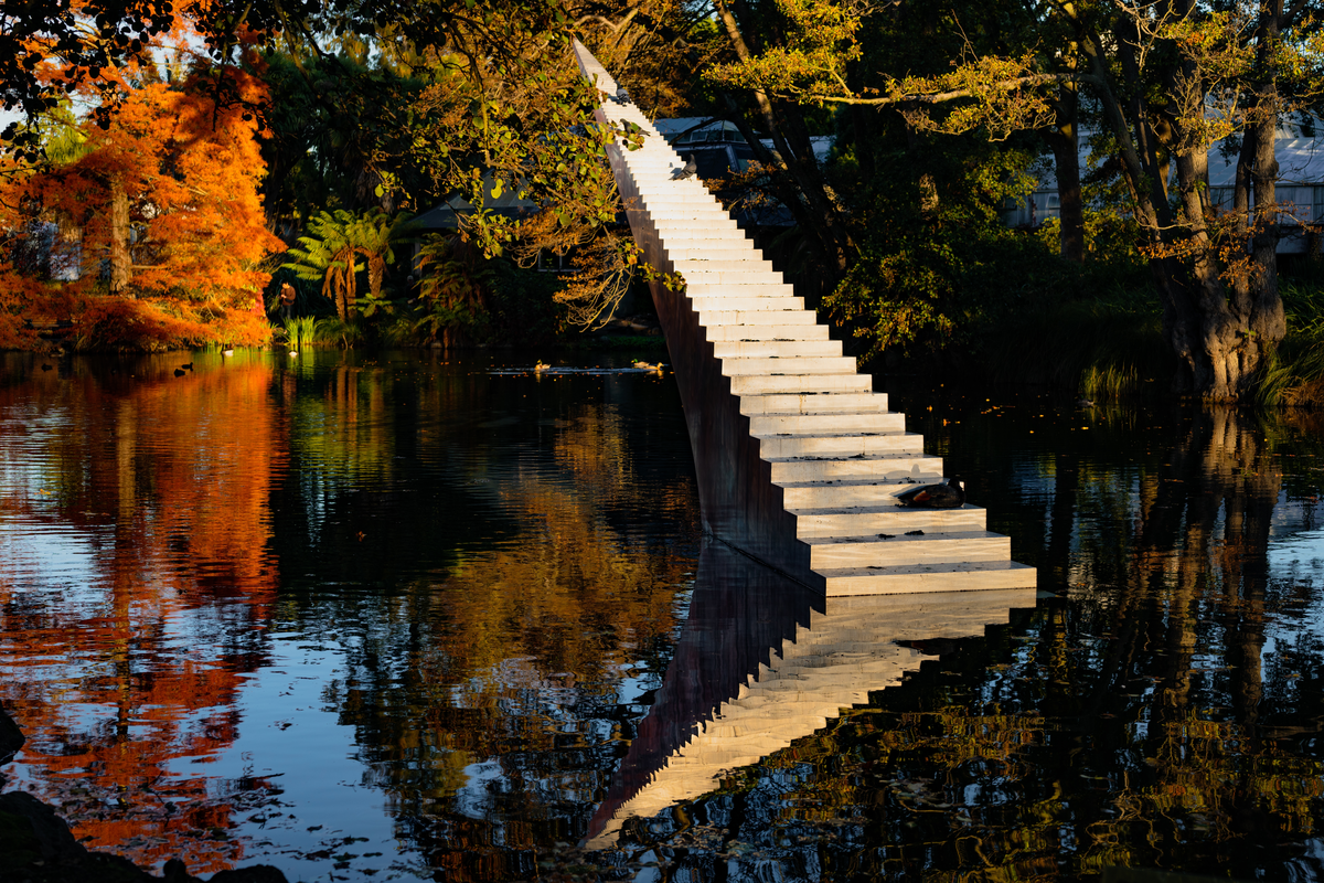 A cement stair case come out of the water narrowing in the distance both this and the surrounding trees reflecting on the water