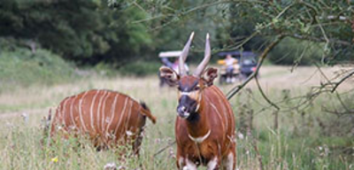 Offer image for: Watatunga Wildlife Reserve - 10% discount