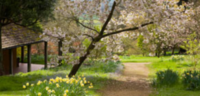 Offer image for: Batsford Arboretum & Garden Centre - 10% discount