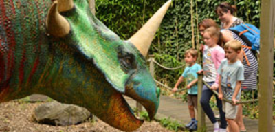 Offer image for: Paradise Park - Two for one