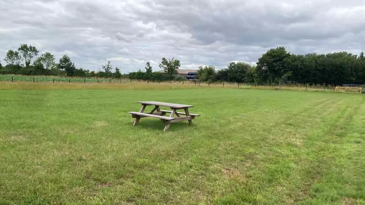 Lower Burrow Farm, TA12 6BS, Langport, Somerset, CL owner, 2026, field, pitch, grass, picnic table, trees