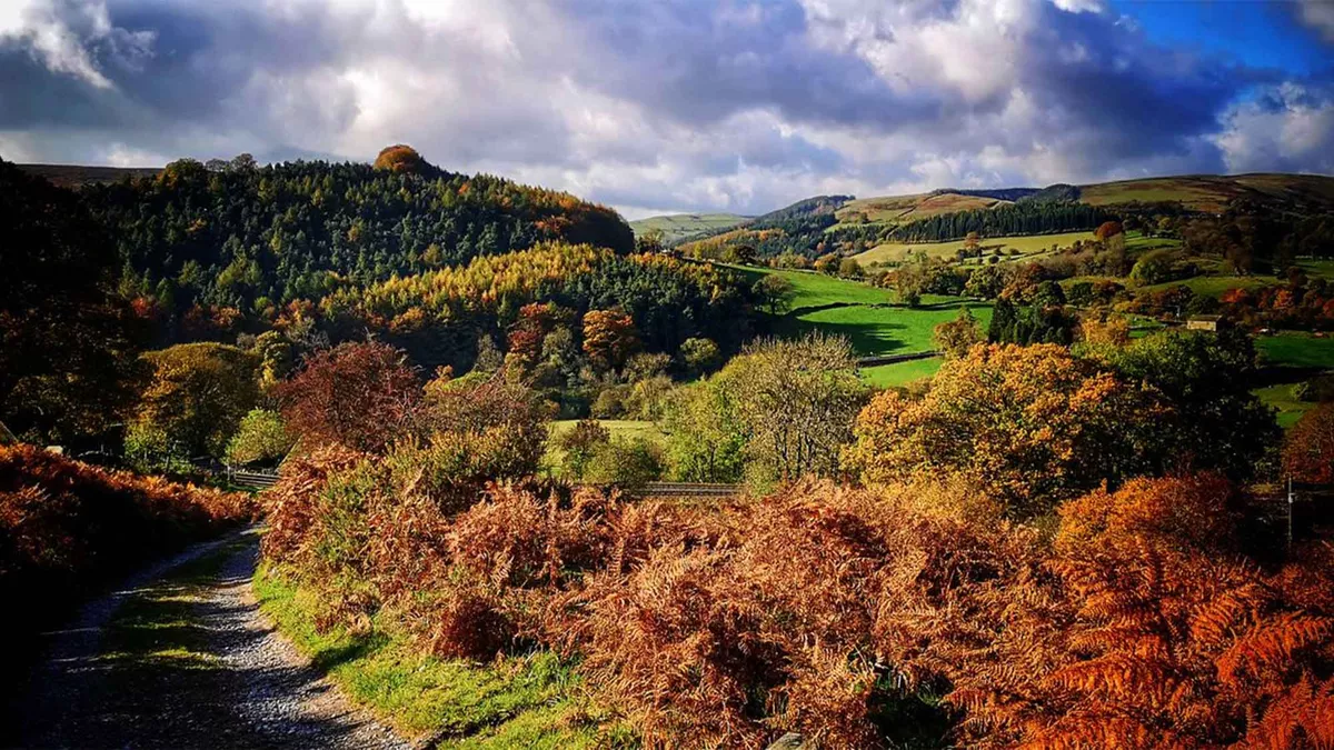 A beautiful array of colours shades of orange and greens leading to bright green hilly grassland with a forest of trees to the left spread into the distance under a cloudy by blue sky