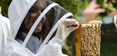 Offer image for: Hiver’s London Beekeeping and Beer Tasting - 15% discount