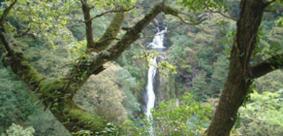 Offer image for: Devil's Bridge Falls - 20% discount