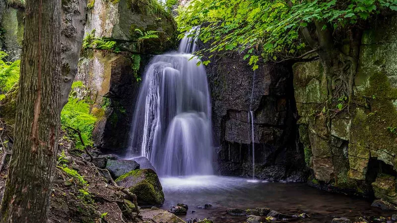 Looking a the water flowing down Lumsdale Waterfall through the trees bordered by high rock walls