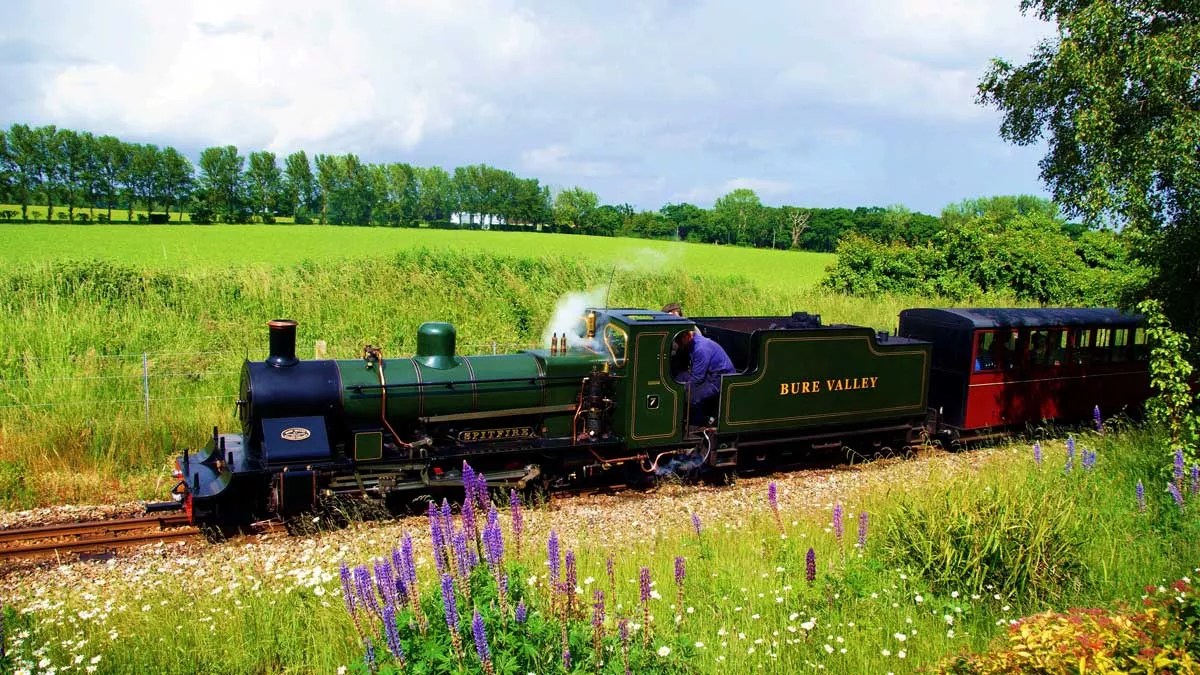 Miniature steam locomotive travelling through green Norfolk fields