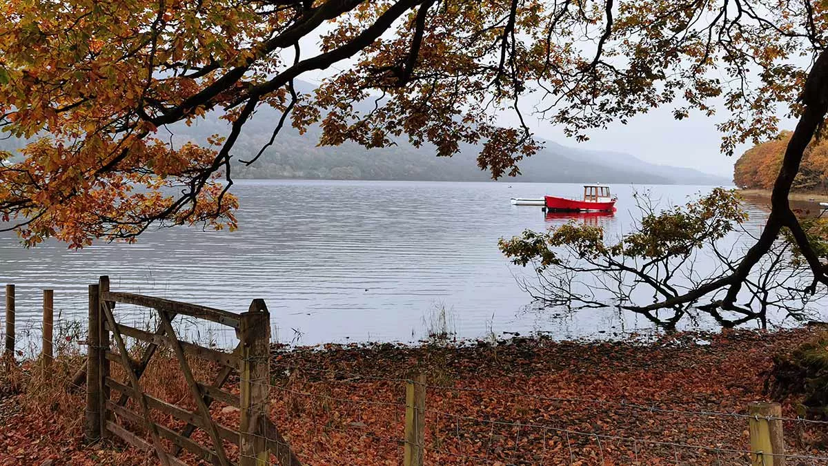 Coniston Park Coppice Club Campsite