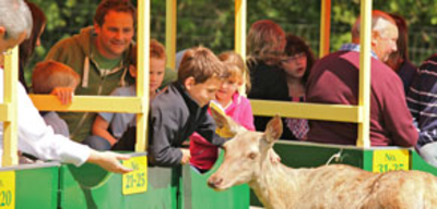 Offer image for: World of Country Life - 10% discount