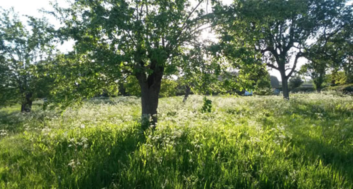 Hucks Barn Farm, SY8 4AA