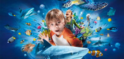 Offer image for: SEA LIFE Blackpool - 10% discount