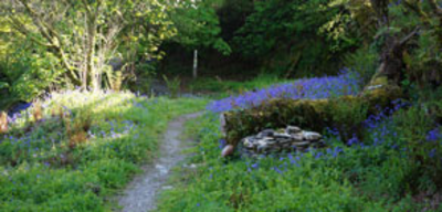 Offer image for: The Vale of Avalon/Arthurian Centre - 50% discount