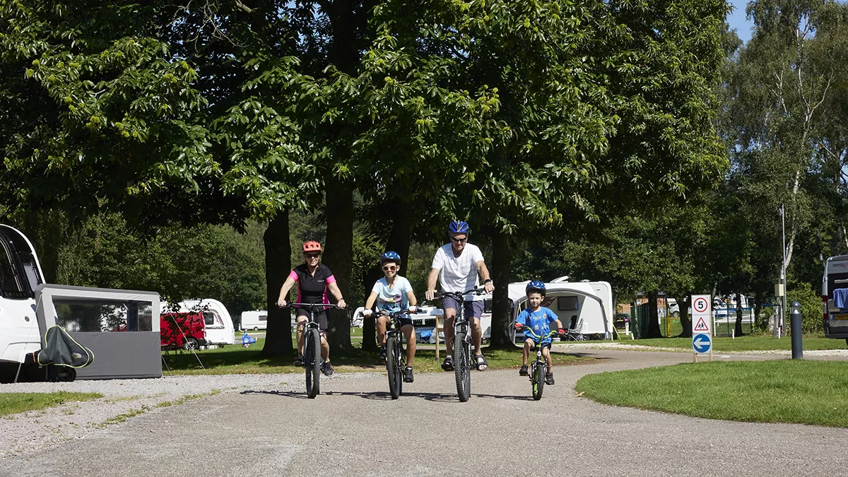A family of four riding bicycles together surrounded by greenery and blue sky