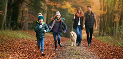 Offer image for: Fairhaven Woodland and Water Garden - Two for one