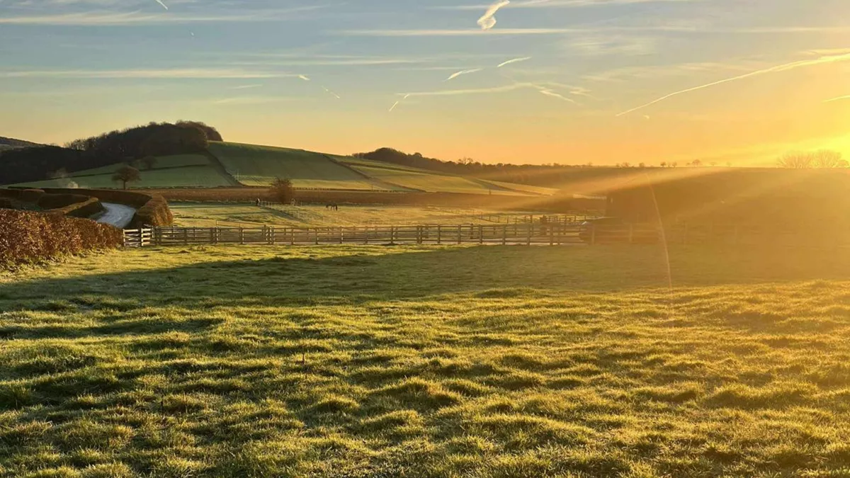 Elm Tree Farm, ST18 8TT, Dronfield, Derbyshire, CL owner, 2026, field, trees, grass, sunrise