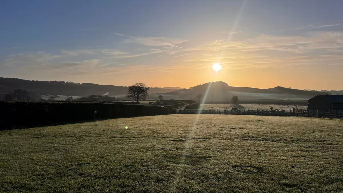 Elm Tree Farm, ST18 8TT, Dronfield, Derbyshire, CL owner, 2026, field, trees, grass, sunset