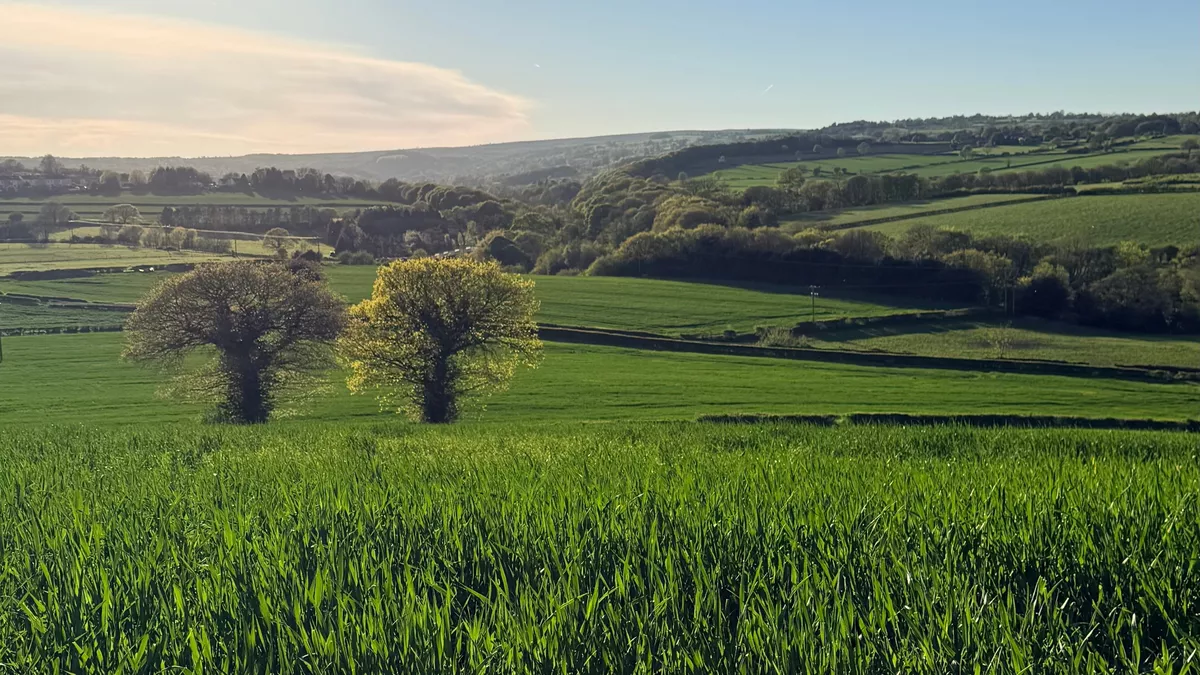 Elm Tree Farm, ST18 8TT, Dronfield, Derbyshire, CL owner, 2026, field, trees, grass