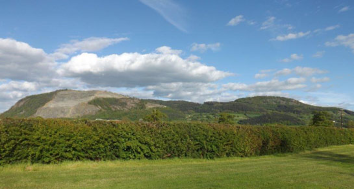Meadow Cottage, SY21 9LB
