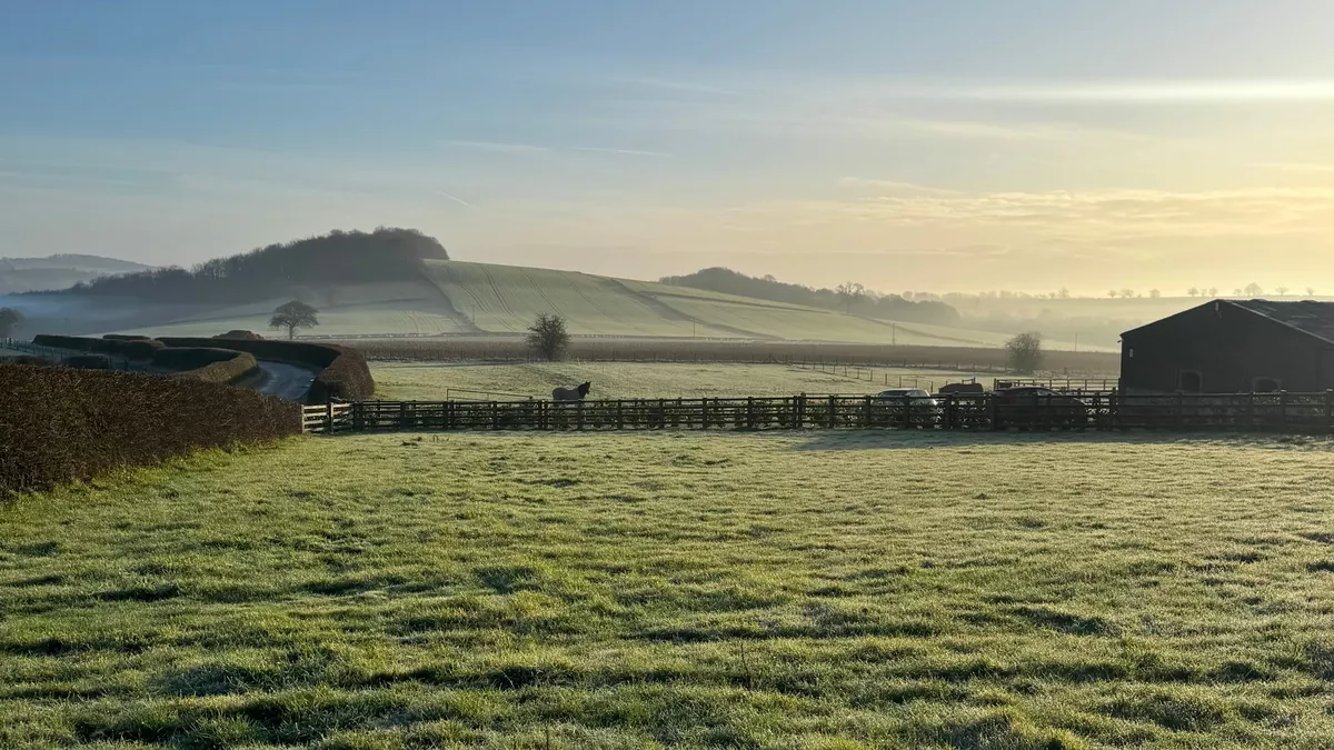 Elm Tree Farm, ST18 8TT, Dronfield, Derbyshire, CL owner, 2026, field, trees, grass