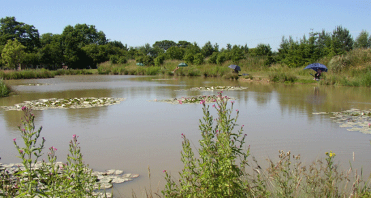 Mayfields Fishery, PE24 4PF