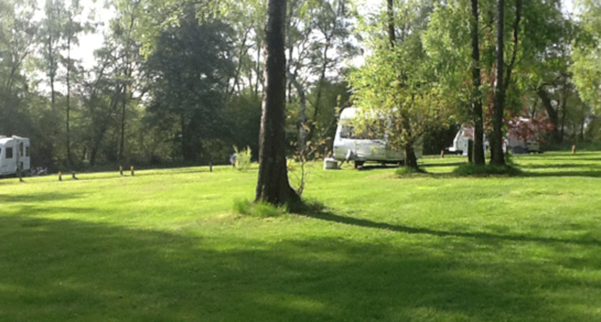 Leicester Hill Wood, LE6 0AJ