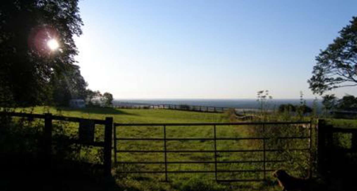 Freemantle Park Farm, RG26 5UD, field, sky