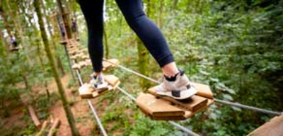 Offer image for: Go Ape - Delamere - 10% discount