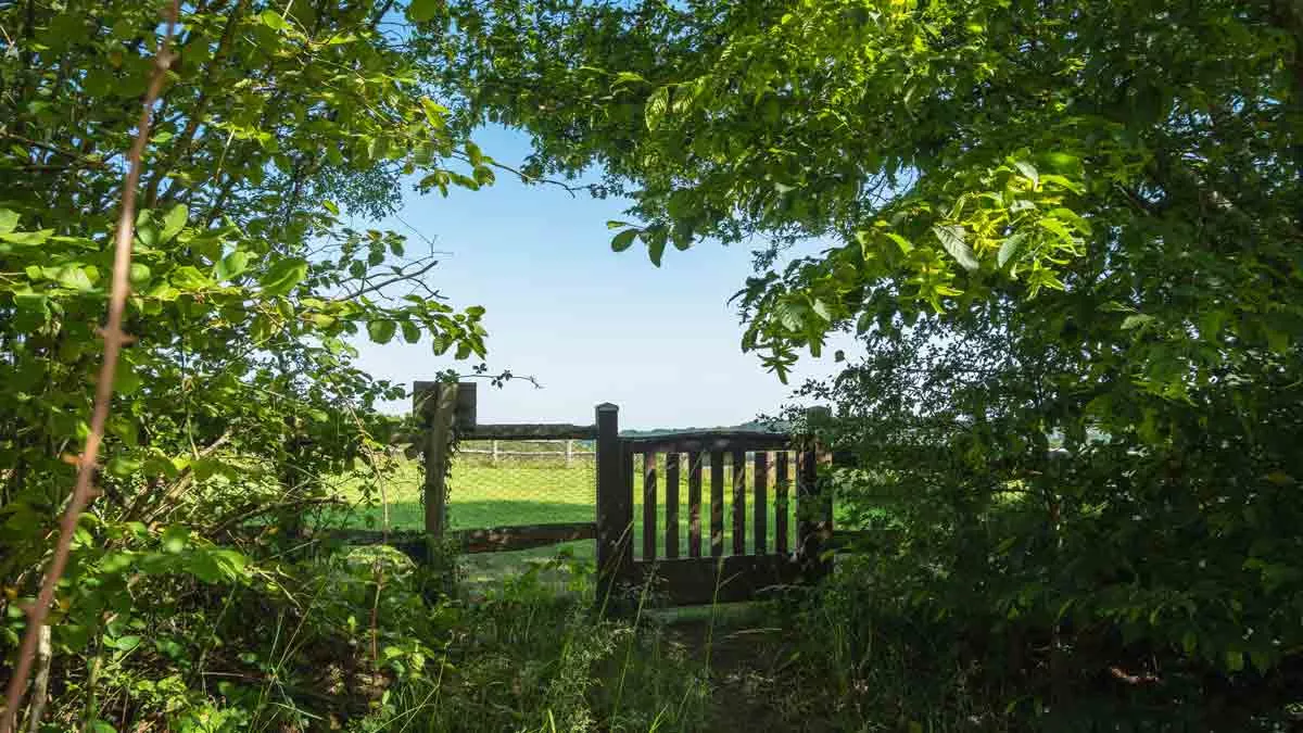 Stone Cottage, TN19 7RA, Battle, East Sussex, 2026