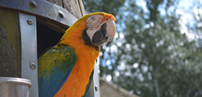 Offer image for: Birdland Park & Gardens - 10% discount