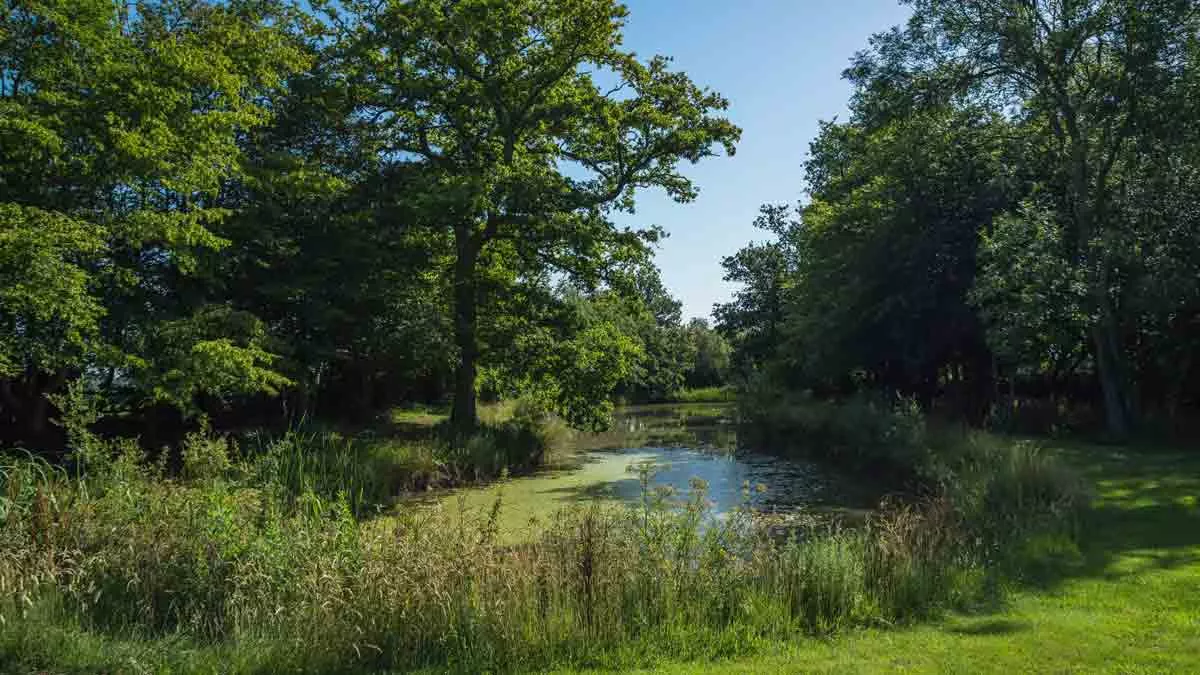 Stone Cottage, TN19 7RA, Battle, East Sussex, 2026