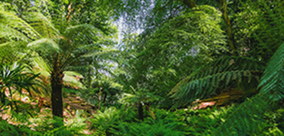 Offer image for: Canonteign Falls - 15% discount