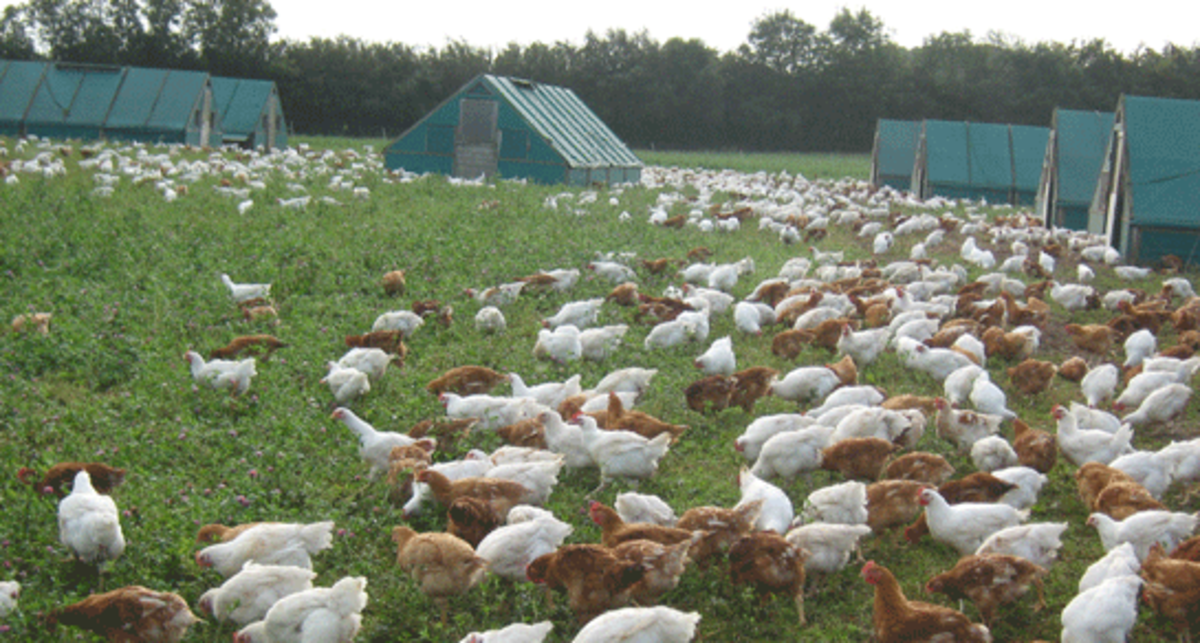Chenson Farm, EX18 7LF, Chulmleigh, Devon