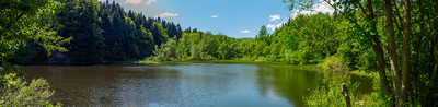Fairhaven Woodland and Water Garden