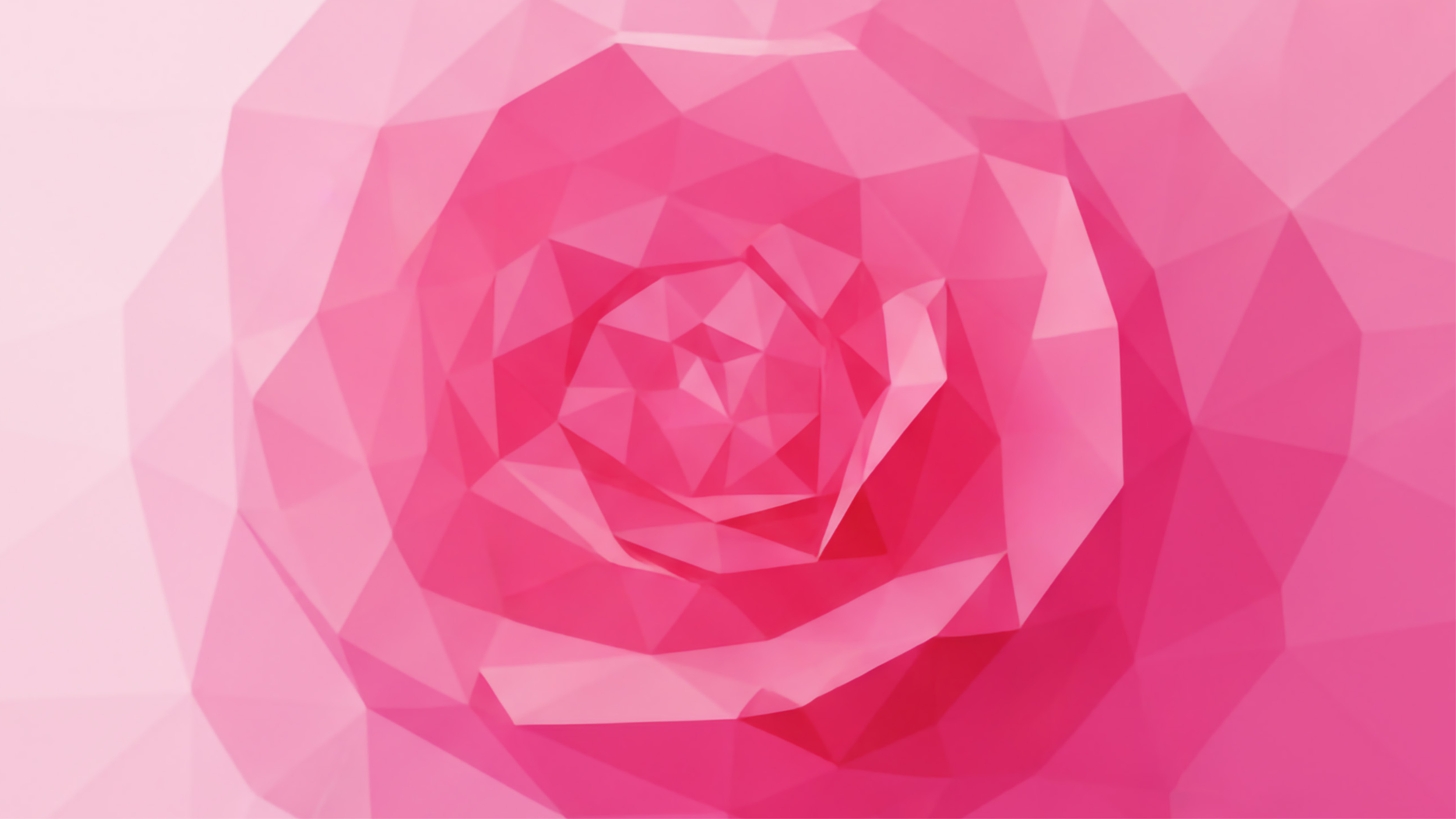 abstract graphic of a pink rose