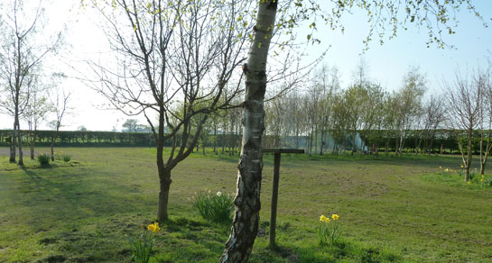 Tophouse Farm, NG5 8PH, Nottingham, Nottinghamshire