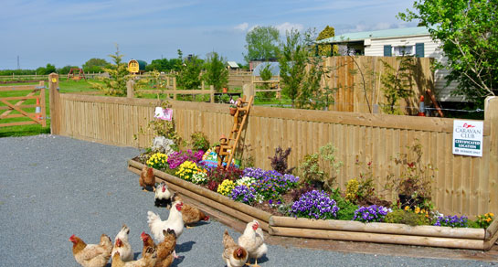 Manor Farm Caravan Park, TA5 2BB