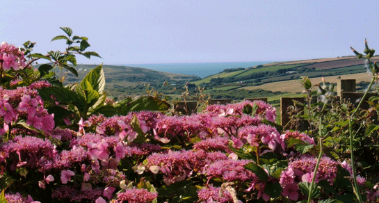 Treamble Holidays, TR4 9PR