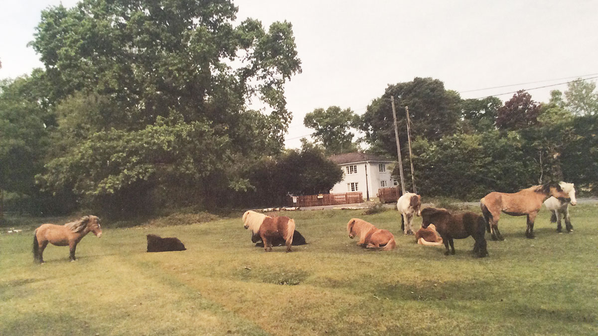 Black Hill Cottage Certificated Location