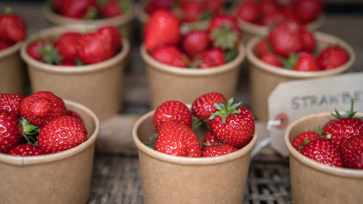 A close up image of strawberry tubs being sold at a Farmers Market in Cornwall, UK