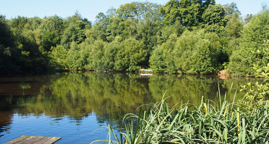 Rosewood Farm, TN21 8PY, Uckfield, East Sussex