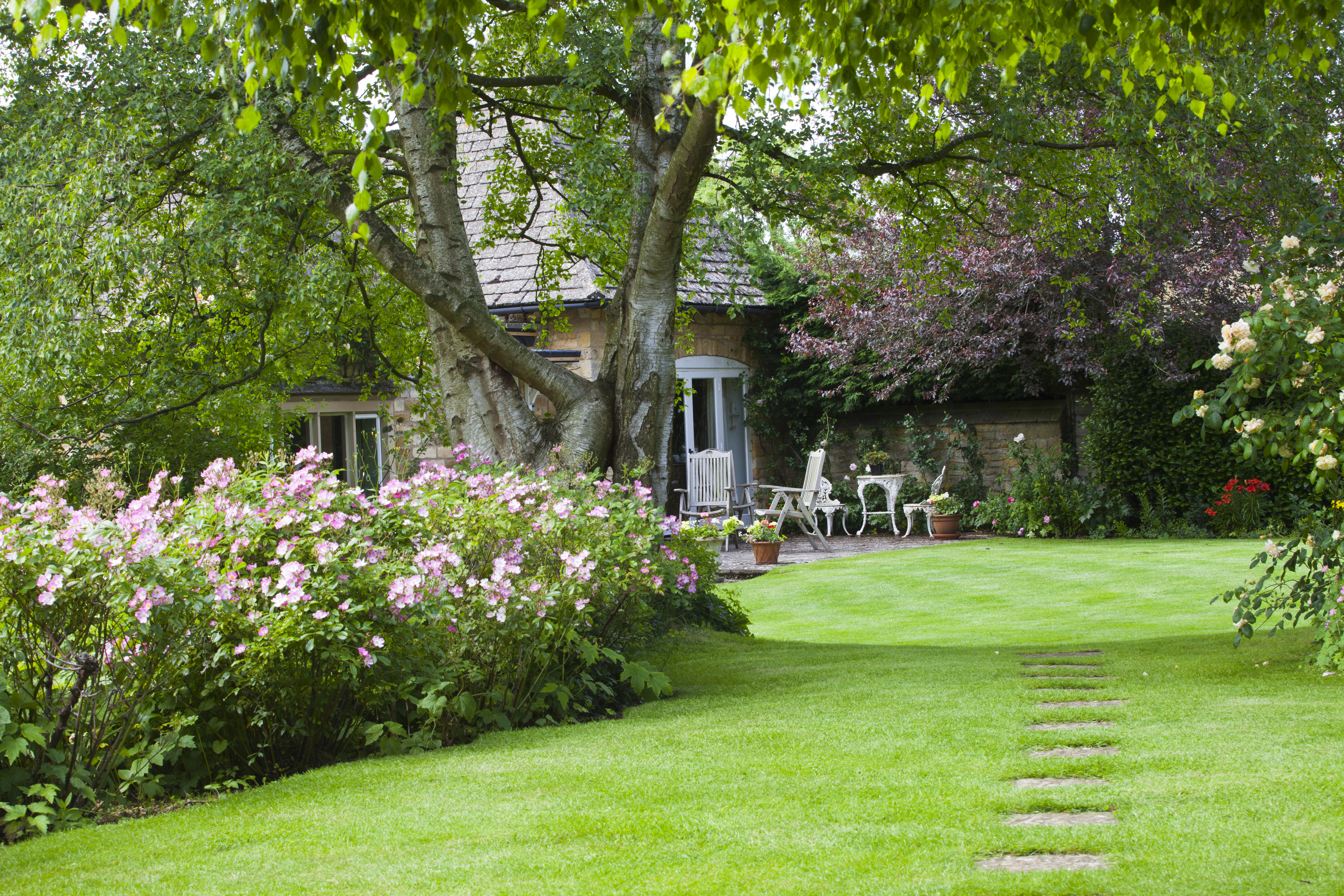 Grassy garden view with paving stones leading up to a cottage