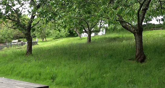 Penpol Farmhouse, TR3 6NW, Truro, Cornwall