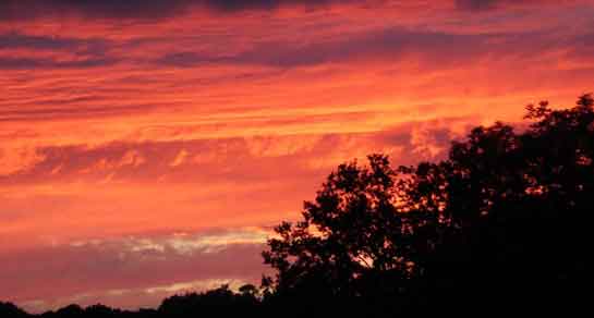 Parkers Patch, SY5 6NT