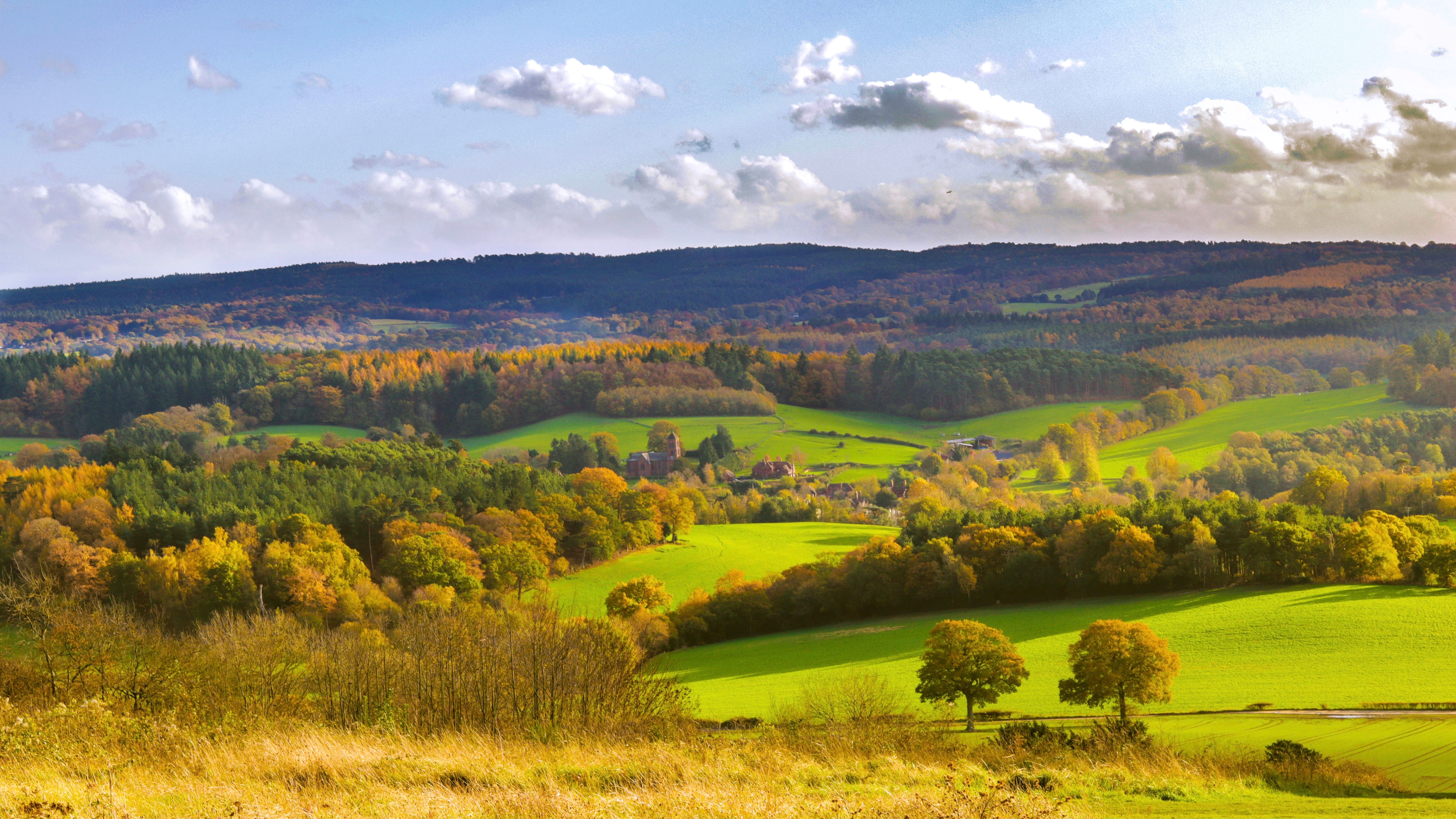 Surrey Hills AONB